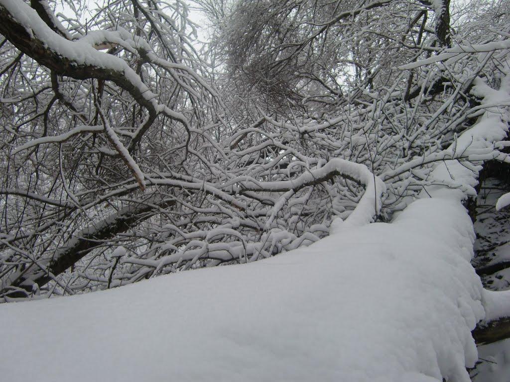 Світловодськ з panoramio.com (ч.2) - Svitlovodsk