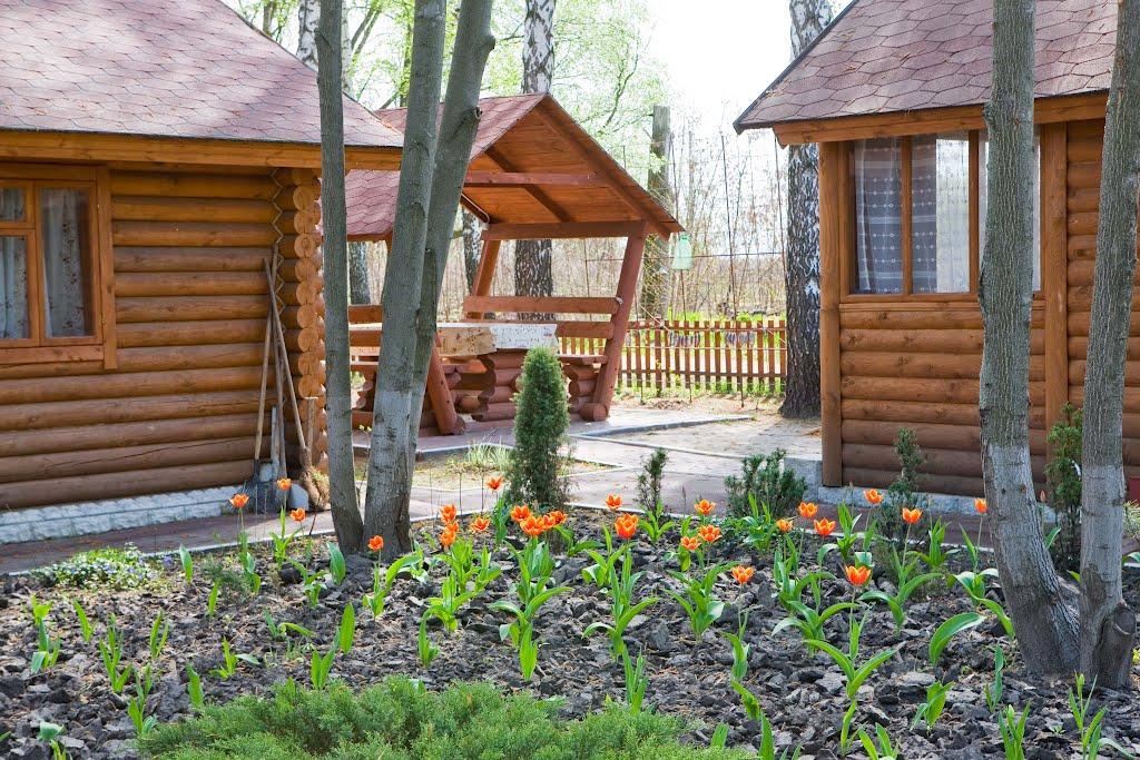 Старий Салтів з panoramio.com - Старый Салтов