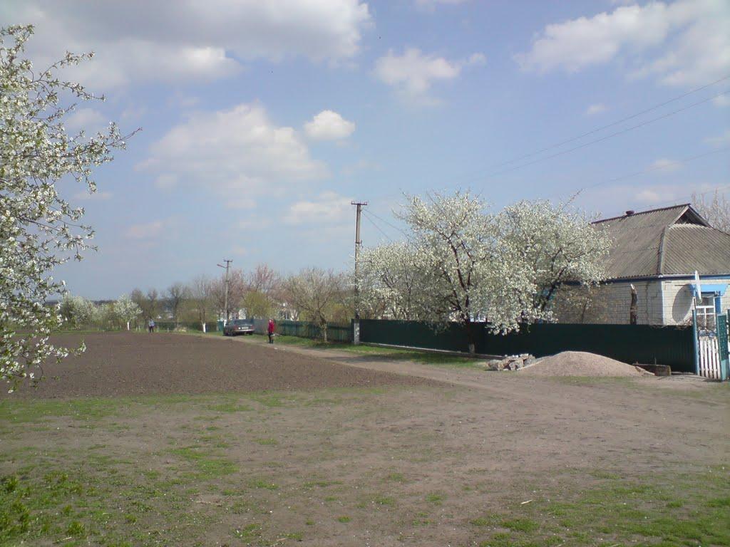 Зеленьки з panoramio.com - Зеленьки