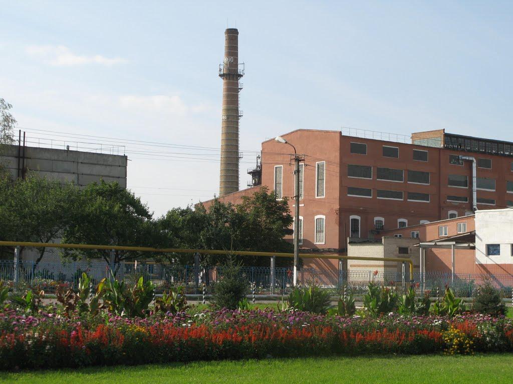 Гути з panoramio.com - Гути