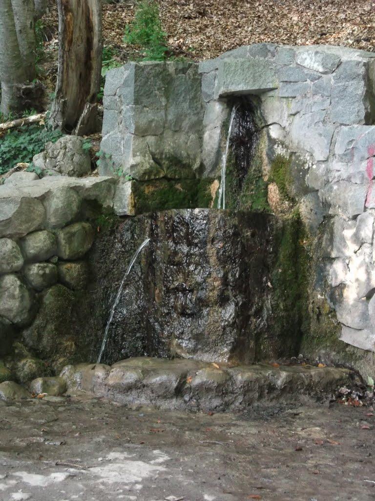 Лучисте з panoramio.com (ч.2) - Luchyste