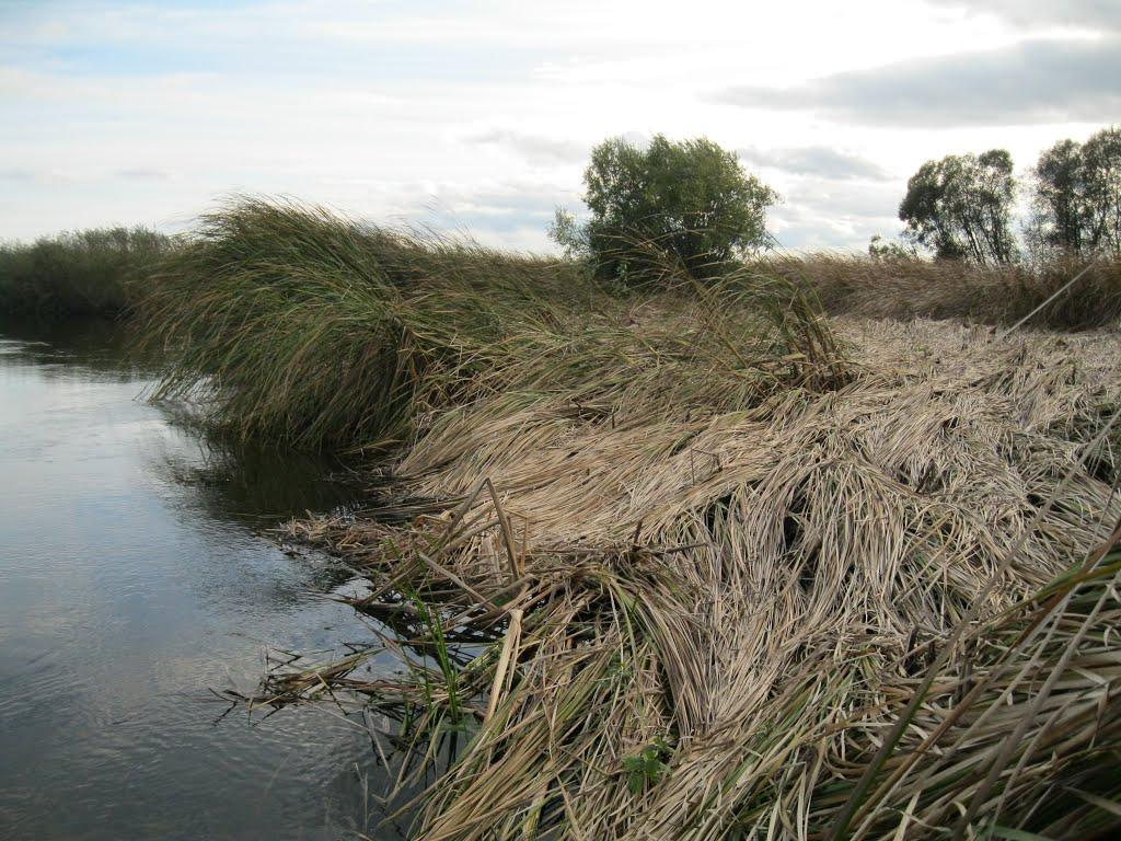 Хотешів з panoramio.com - Хотешів