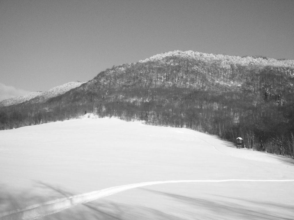 Стричава з panoramio.com - Стричава