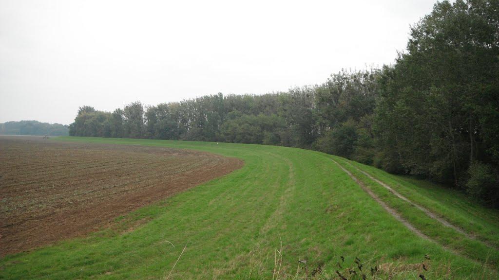 Соломоново з panoramio.com (ч.2) - Соломоново