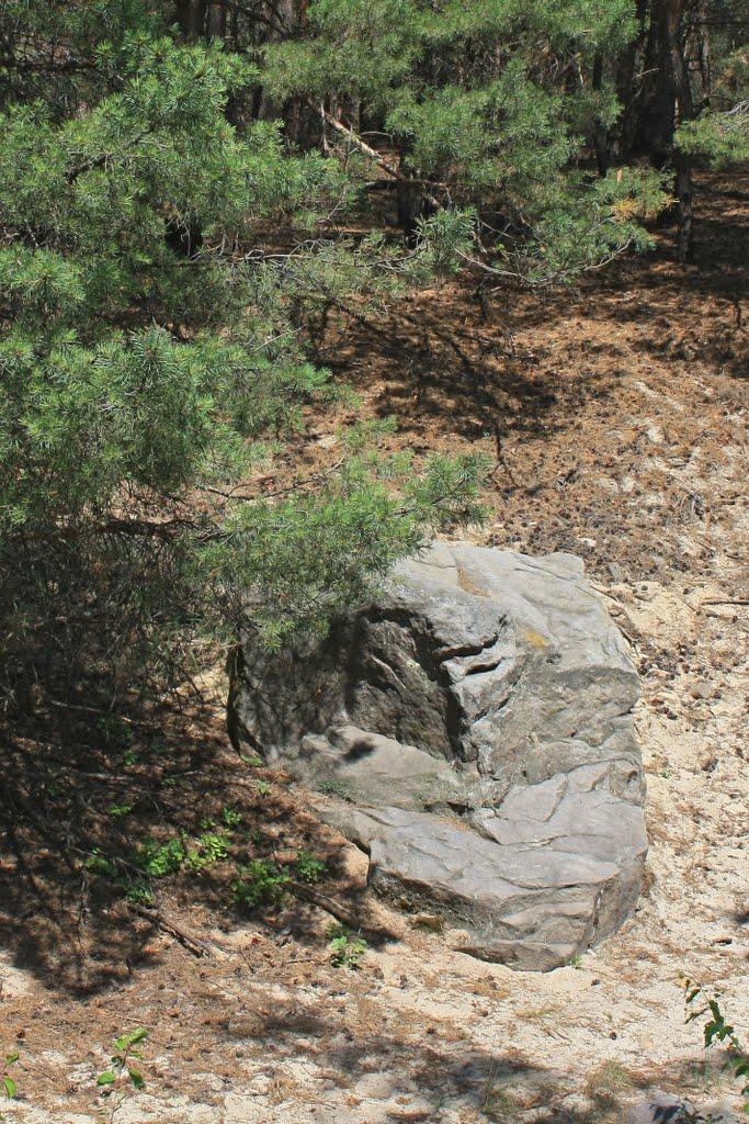 Луковиця з panoramio.com - Луковиця