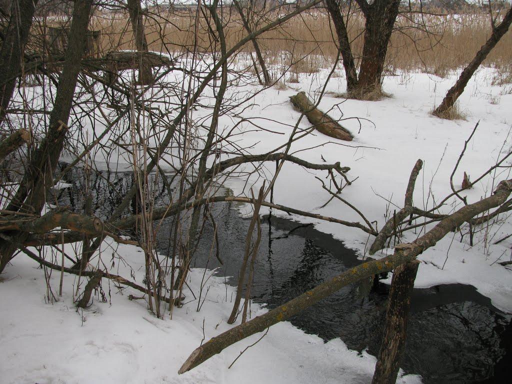 Берека з panoramio.com - Берека