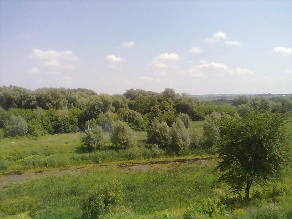 Дубно з panoramio.com (ч.2) - Дубно