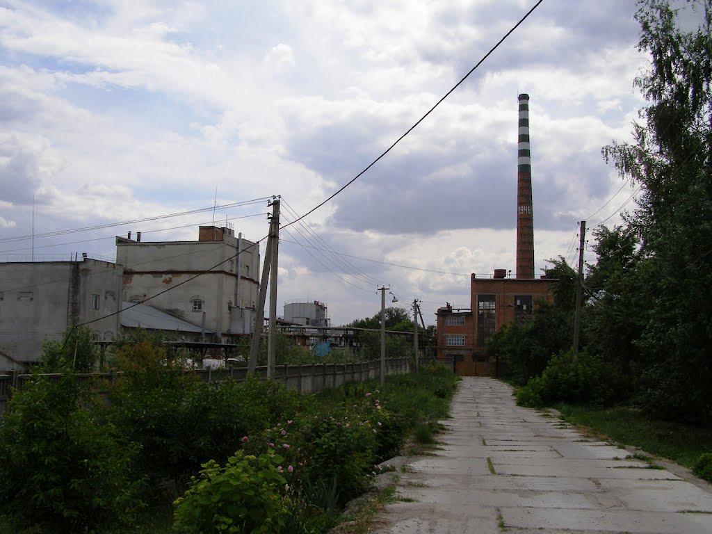 Бездрик з panoramio.com - Бездрик