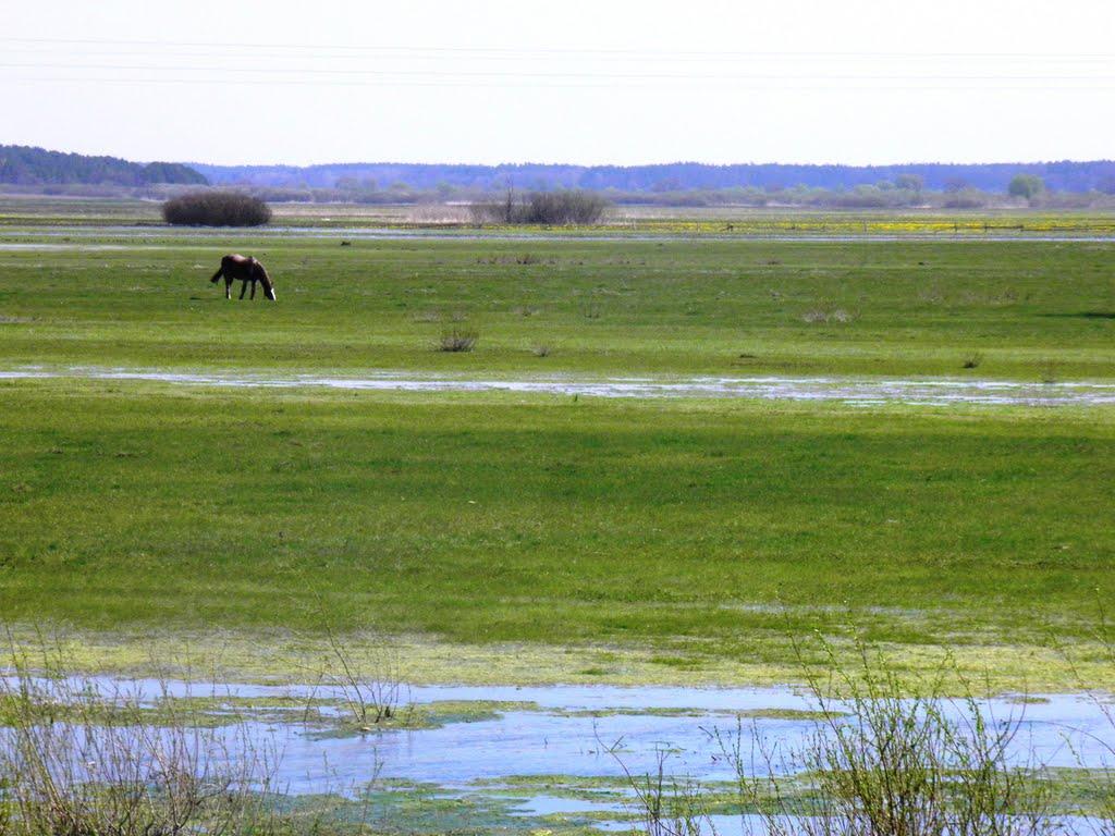 Колки з panoramio.com - Колки