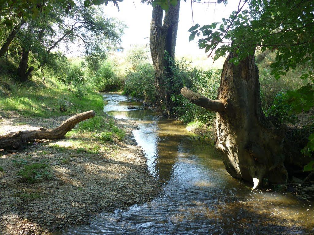 Піщане з panoramio.com - Pischane