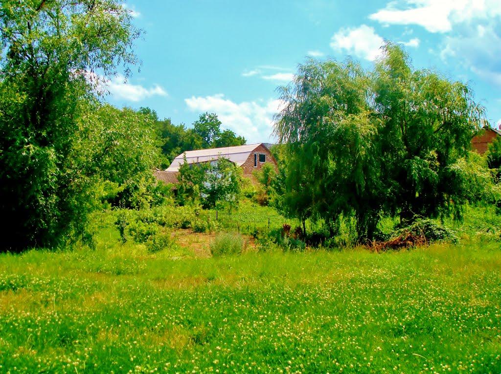 Звенигородка з panoramio.com - Звенигородка