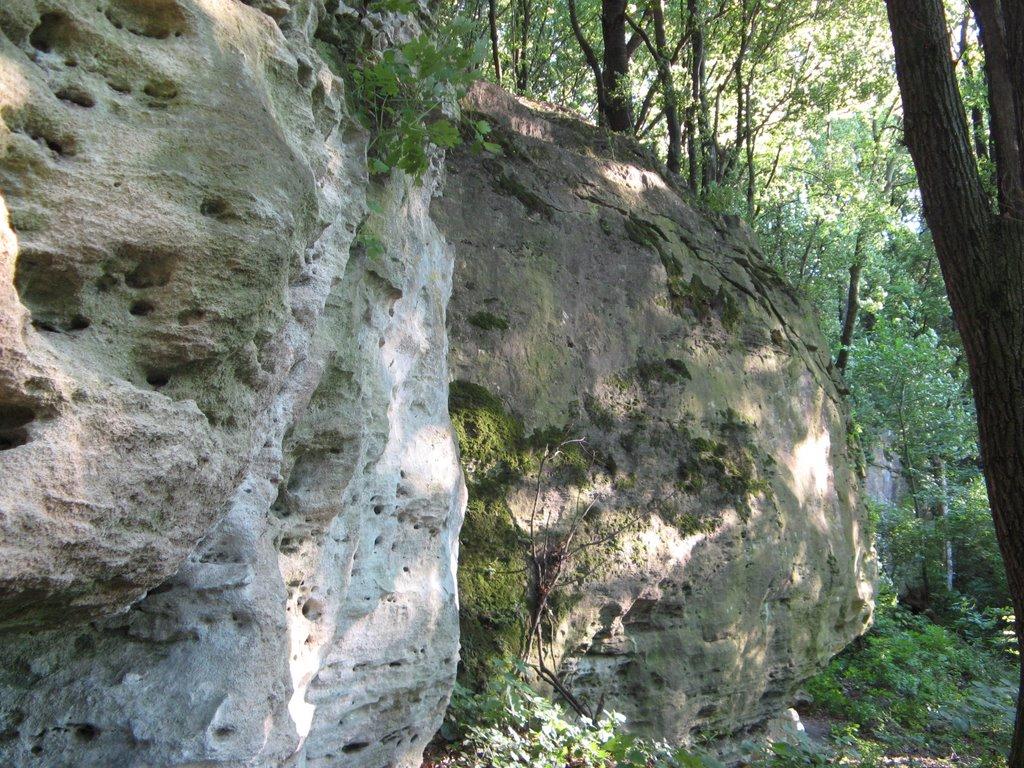 Рудківці з panoramio.com - Рудківці