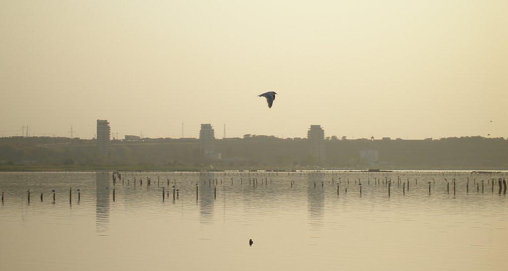 Корсунці з panoramio.com - Корсунцы