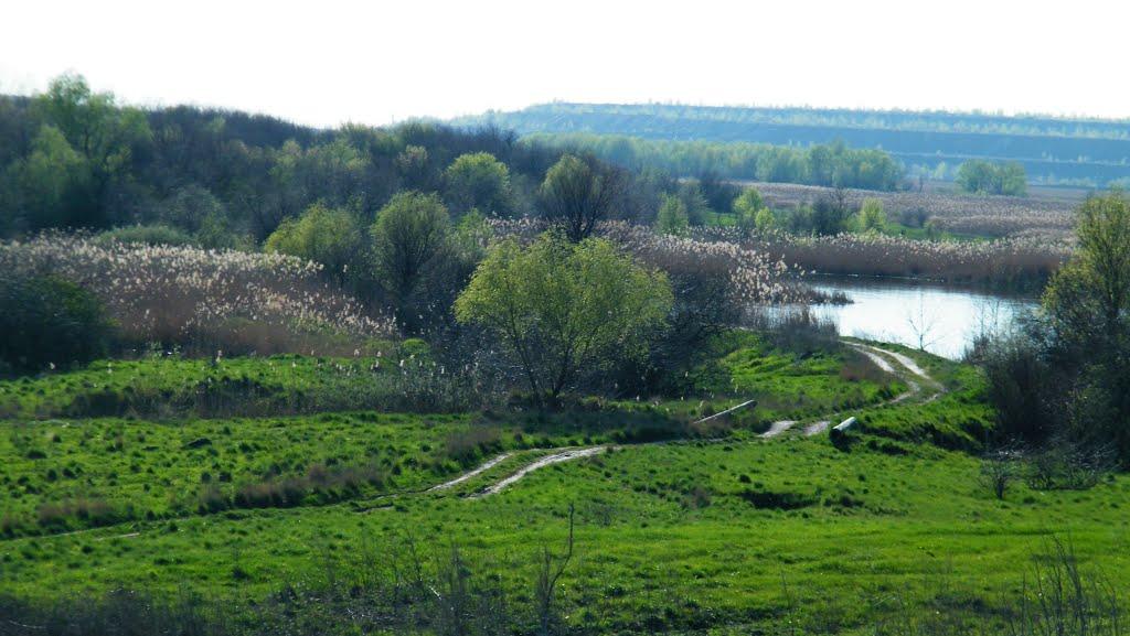 Роботівка з panoramio.com - Роботівка