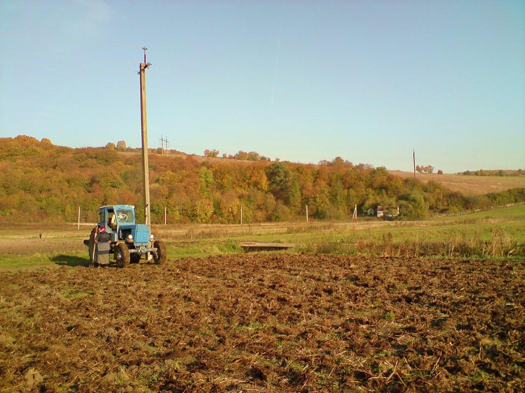 Рогачин з panoramio.com - Rogachyn