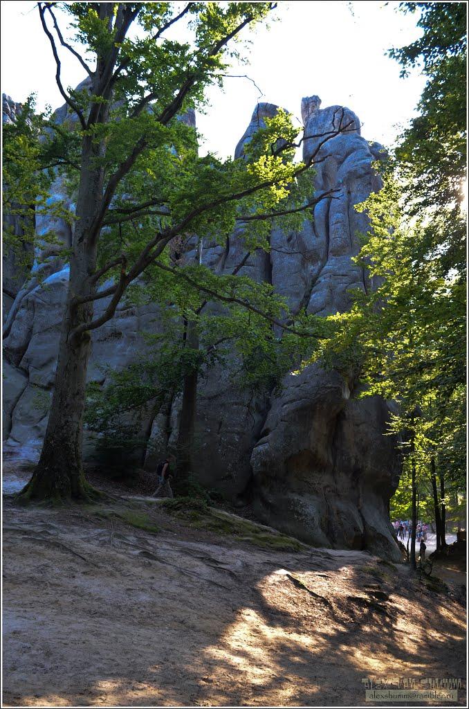 Поляниця з panoramio.com - Поляниця