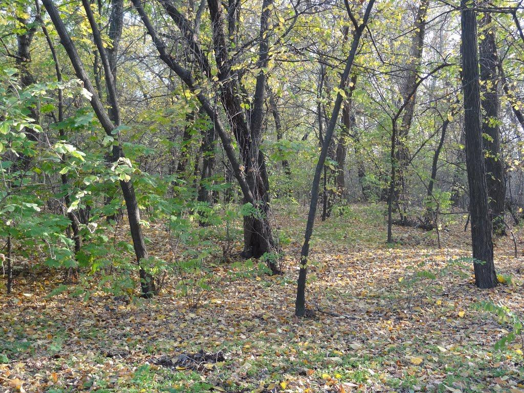Кіровське з panoramio.com (ч.3) - Обуховка