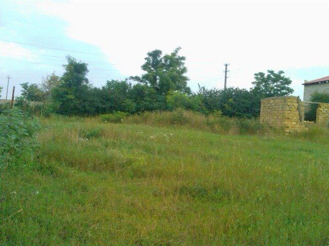 Нерубайське з panoramio.com - Нерубайське