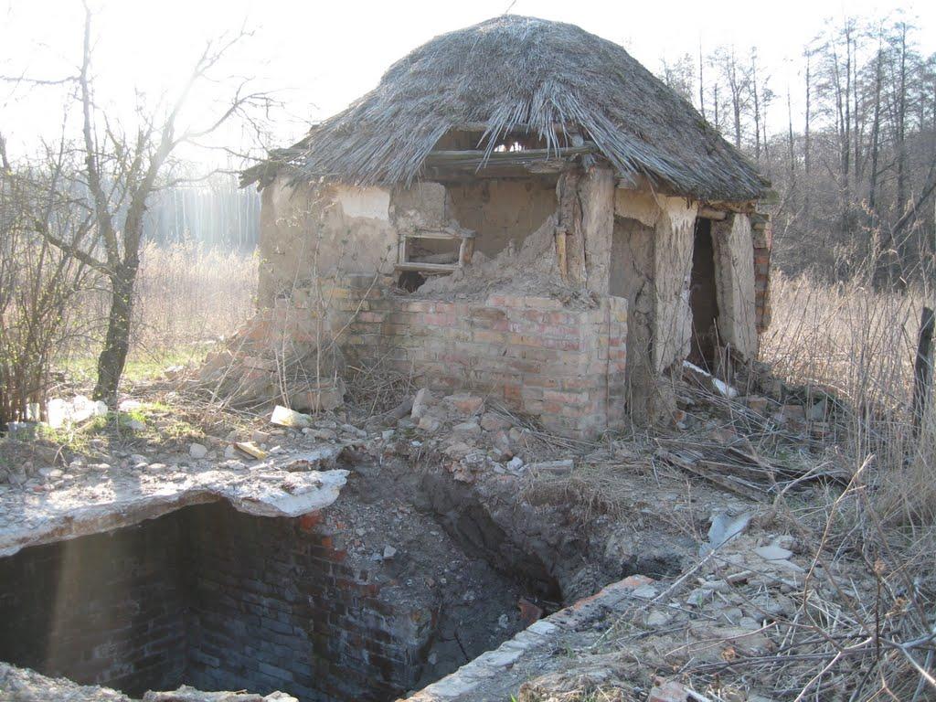 Плавні з panoramio.com - Плавни