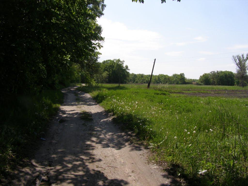 Новомосковськ з panoramio.com (ч.3) - Новомосковск