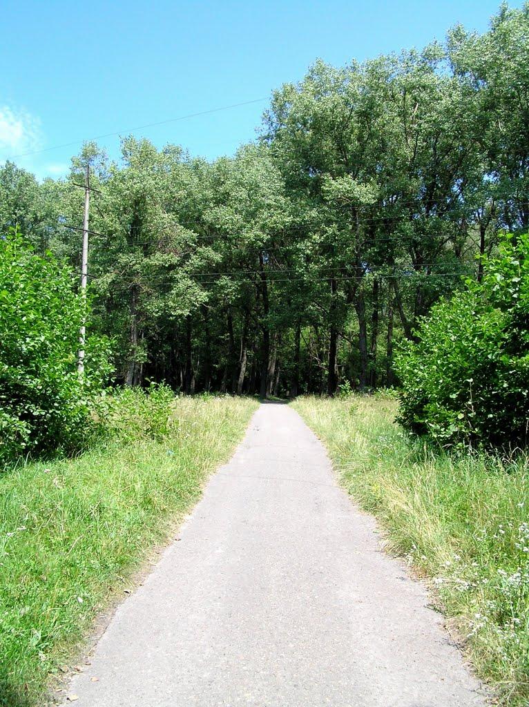 Новий Розділ з panoramio.com - Novyy Rozdil