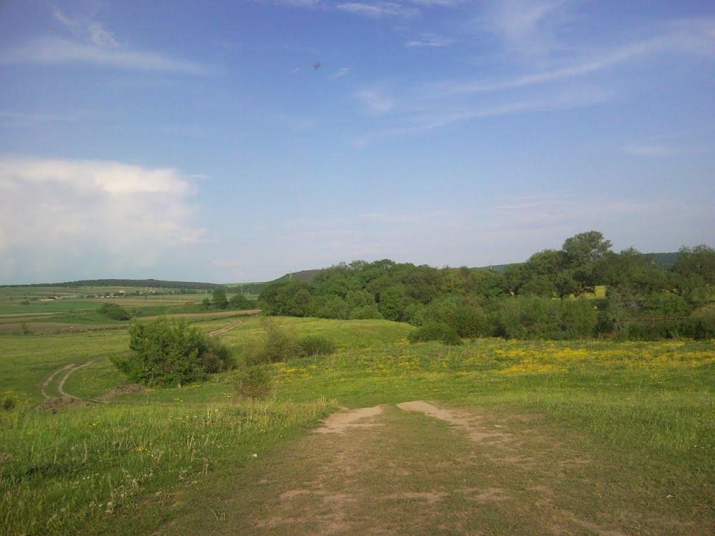 Слобідка з panoramio.com - Слобідка