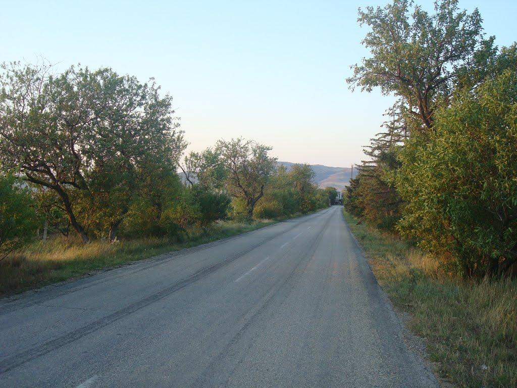 Миндальне з panoramio.com (ч.2) - Миндальное