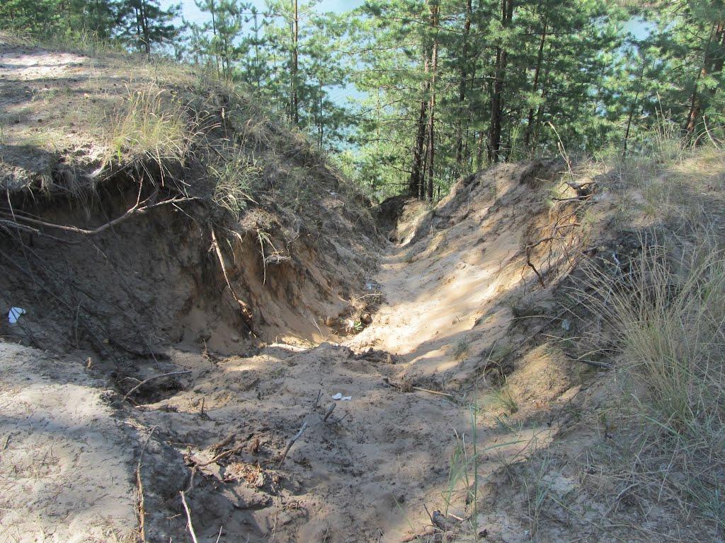 Щурове з panoramio.com - Щурово