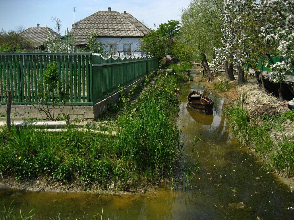 Вилкове з panoramio.com (ч.2) - Вилкове