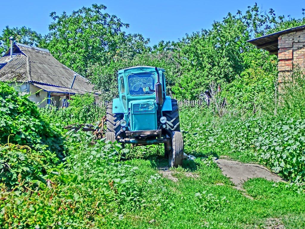 Олександрія з panoramio.com (ч.3) - Олександрія