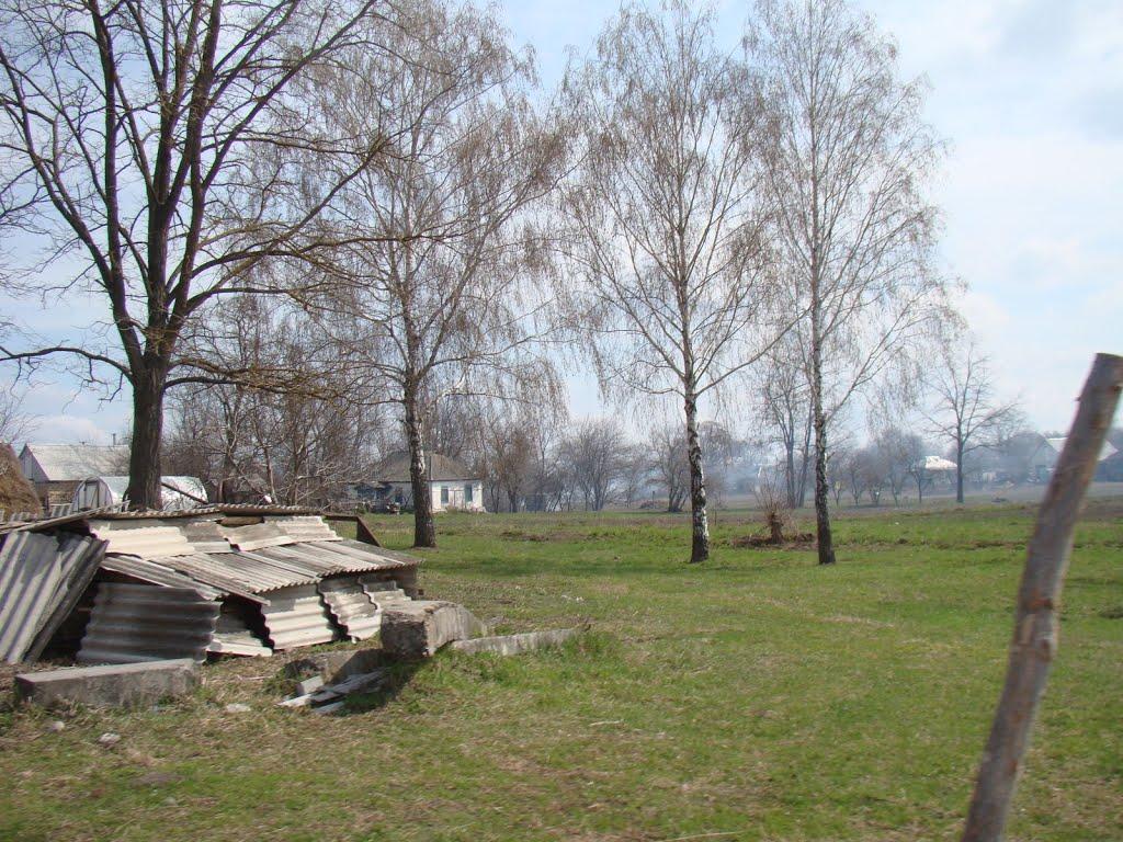 Козлів з panoramio.com - Козлов