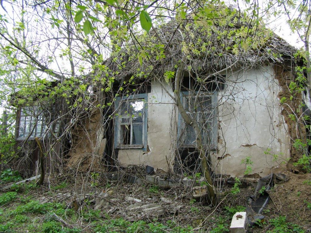 Берека з panoramio.com - Берека