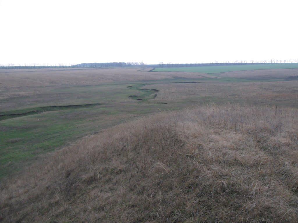 Митьково-Качкарі з panoramio.com - Митьково-Качкарі