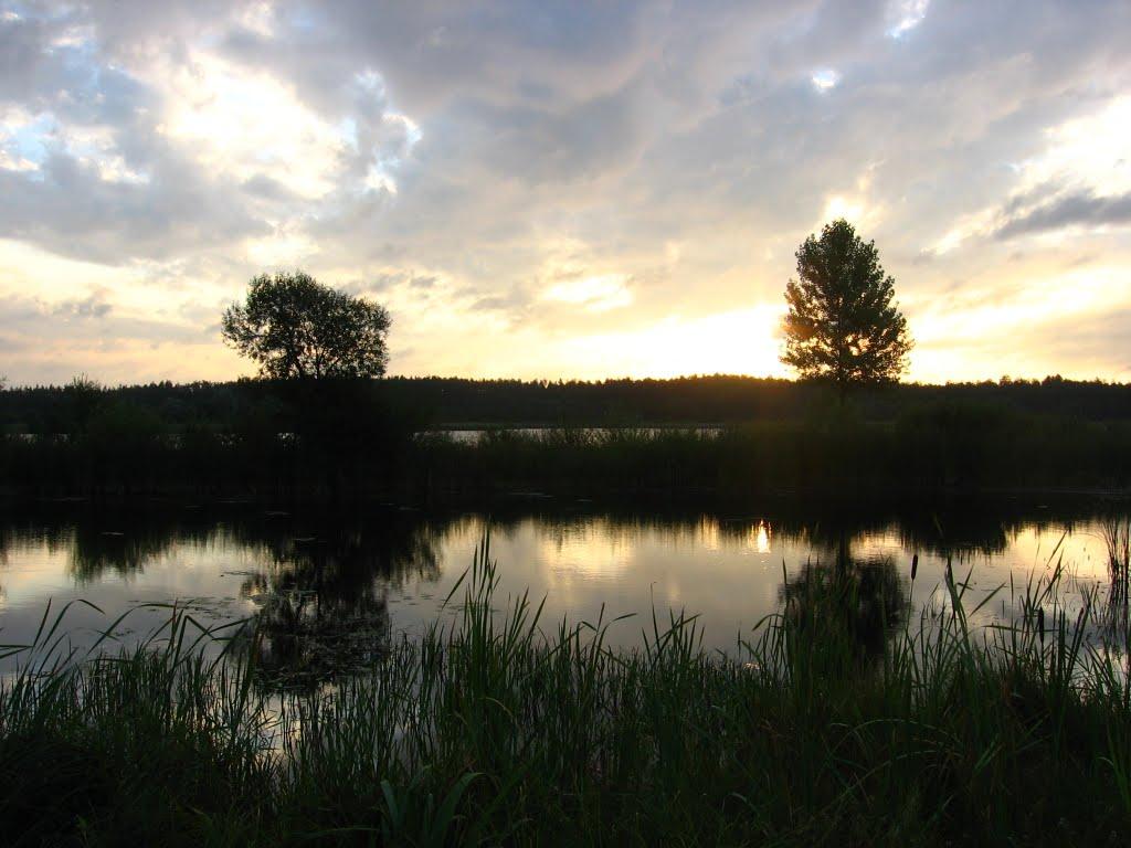 Хомівка з panoramio.com - Хомівка