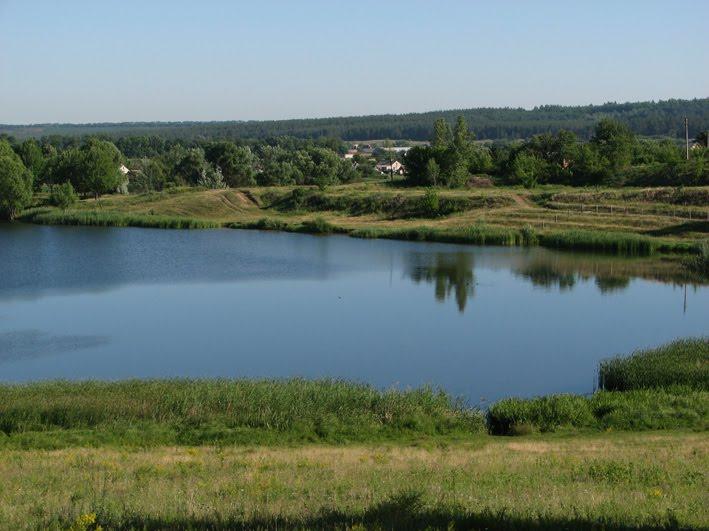 Бірки з panoramio.com - Борки
