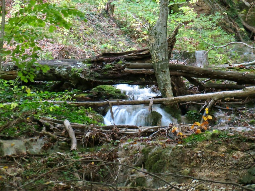 Богатир з panoramio.com - Богатырь