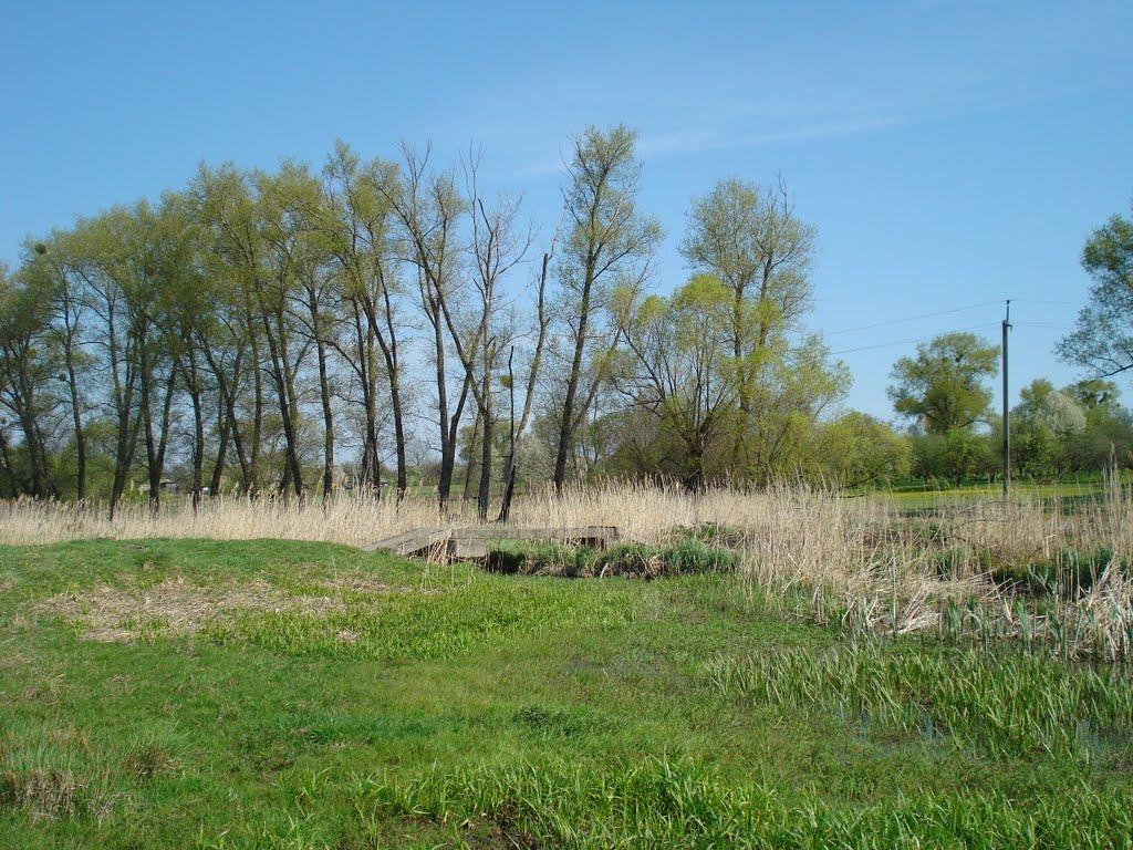 Любимівка з panoramio.com - Любимівка