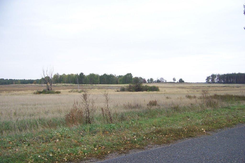 Заворичі з panoramio.com - Zavorychi