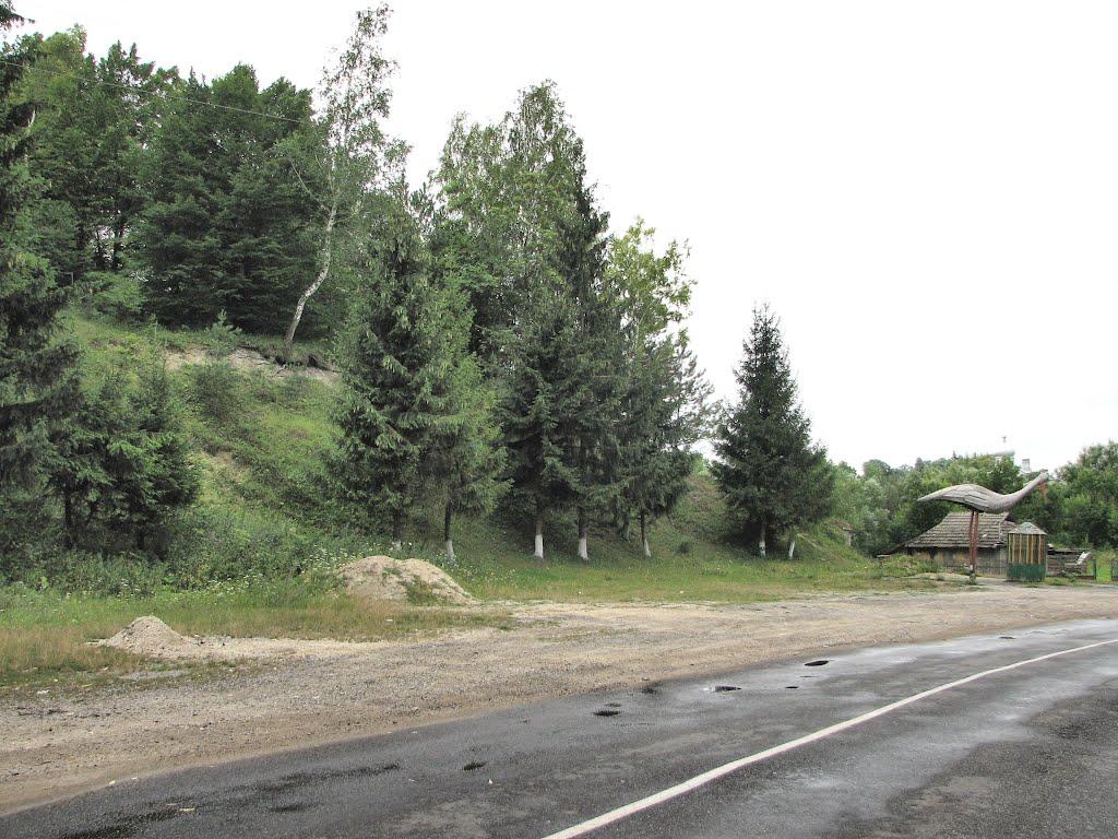 Кремінна з panoramio.com - Кремінна