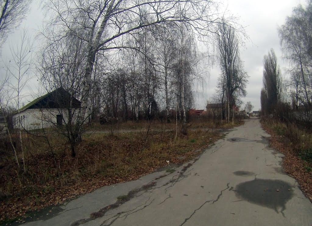Новоград-Волинський з panoramio.com (ч.3) - Новоград-Волинський