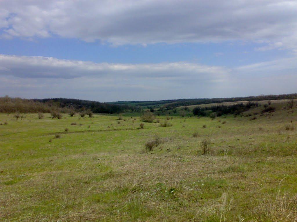 Смоляне з panoramio.com - Смоляне