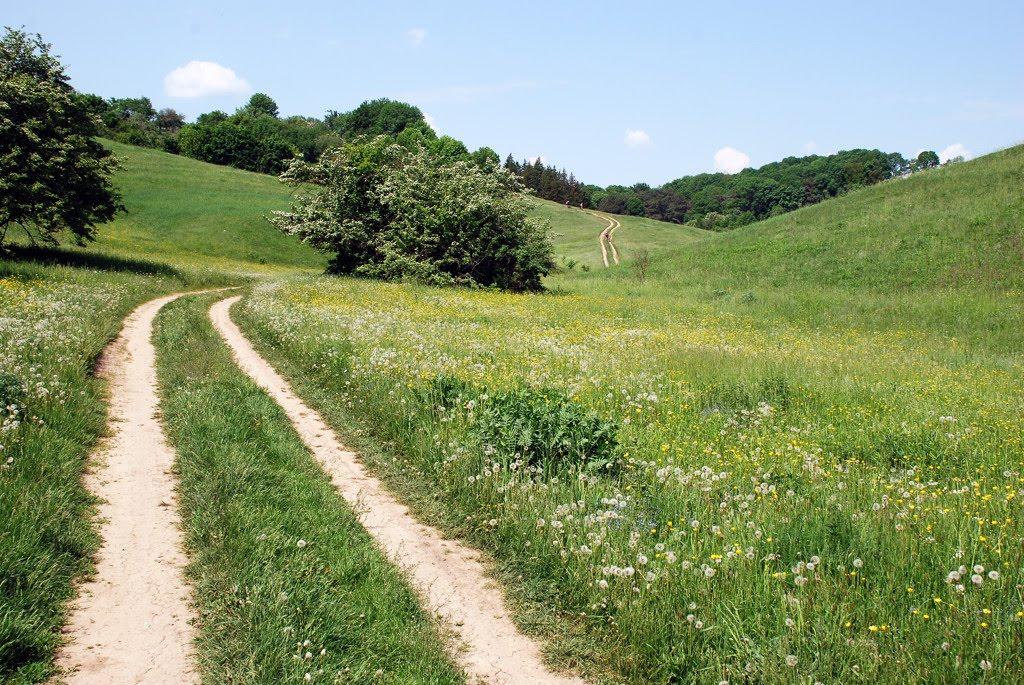 Краснокутськ з panoramio.com - Краснокутськ