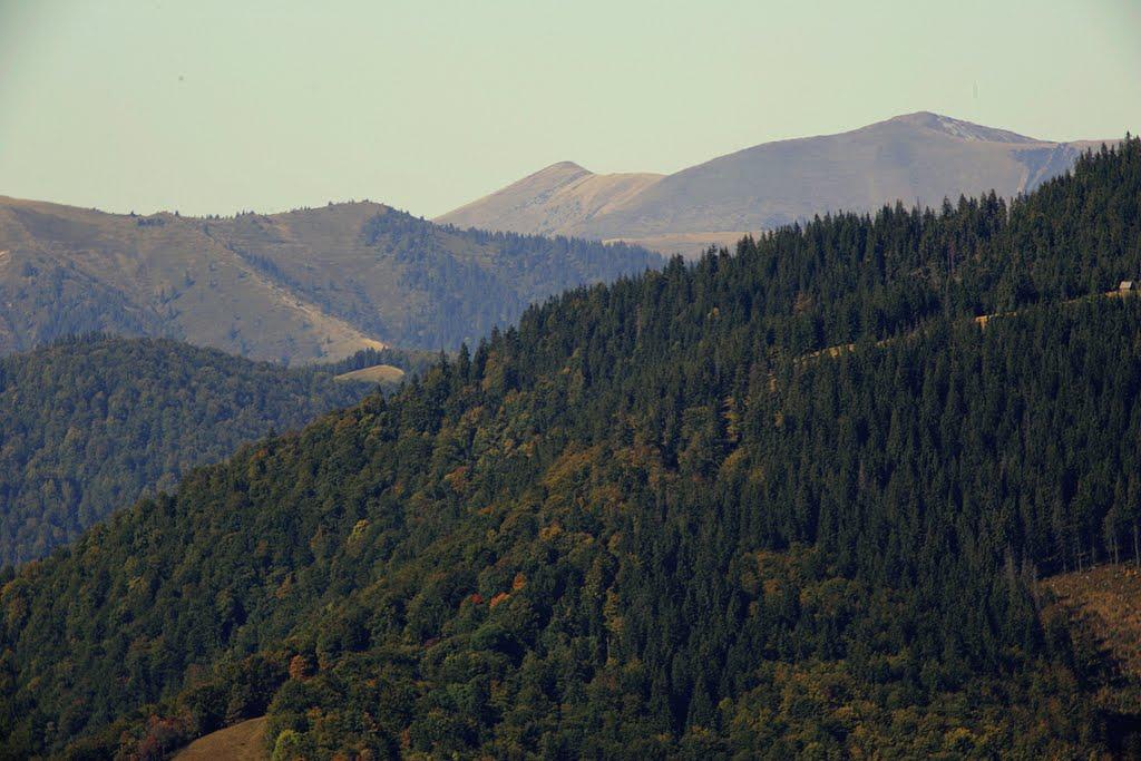 Лопухів з panoramio.com - Лопухов