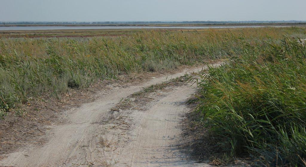 Чернишове з panoramio.com - Чернишове