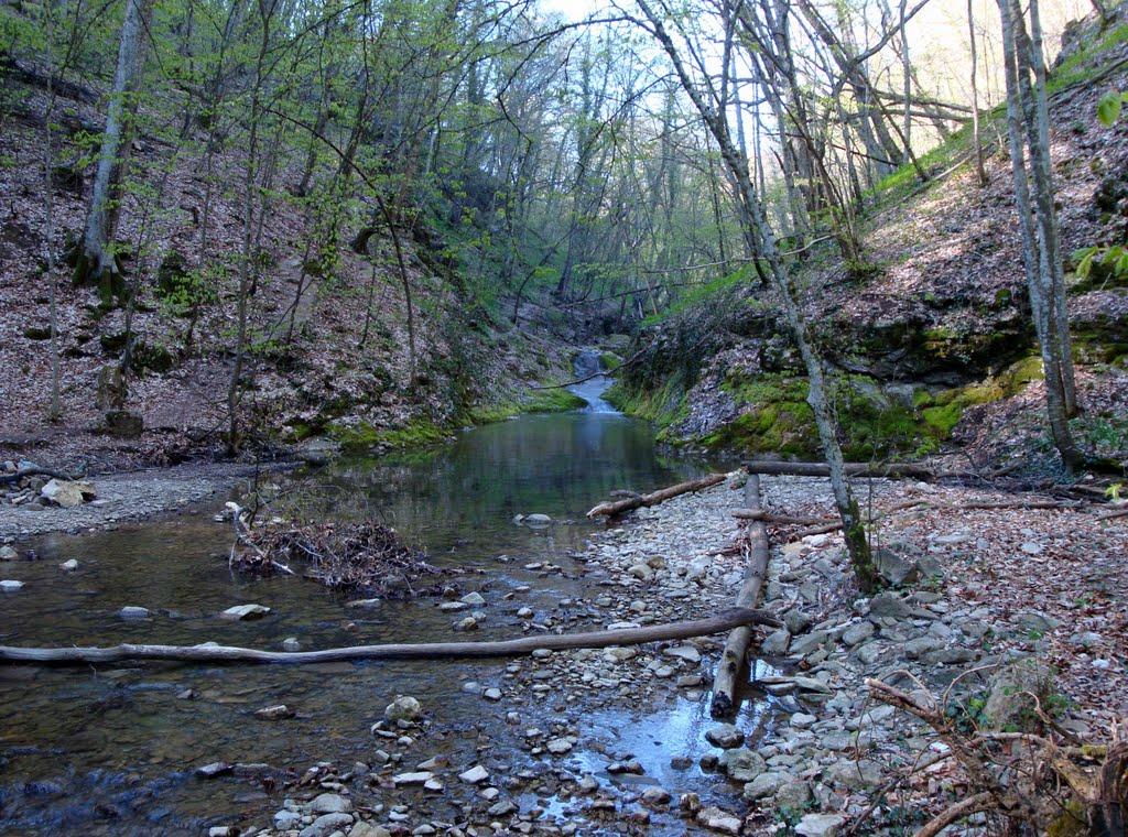 Алексєєвка з panoramio.com - Алексєєвка