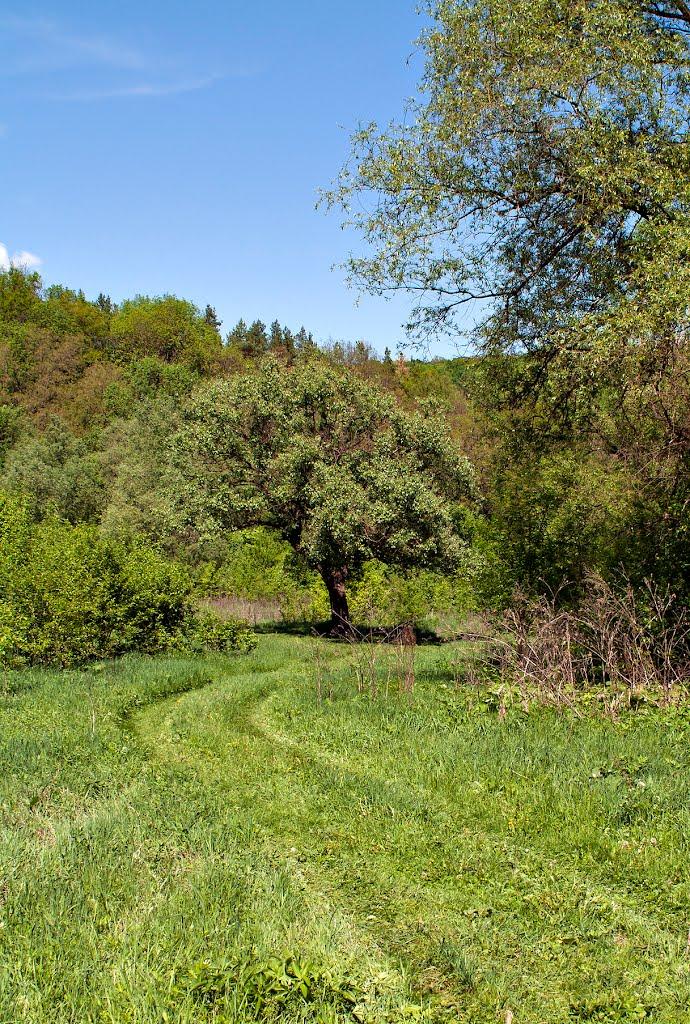 Ленівка з panoramio.com - Ленівка