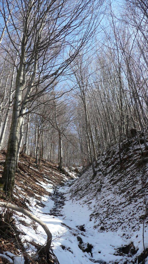 Стричава з panoramio.com - Стричава