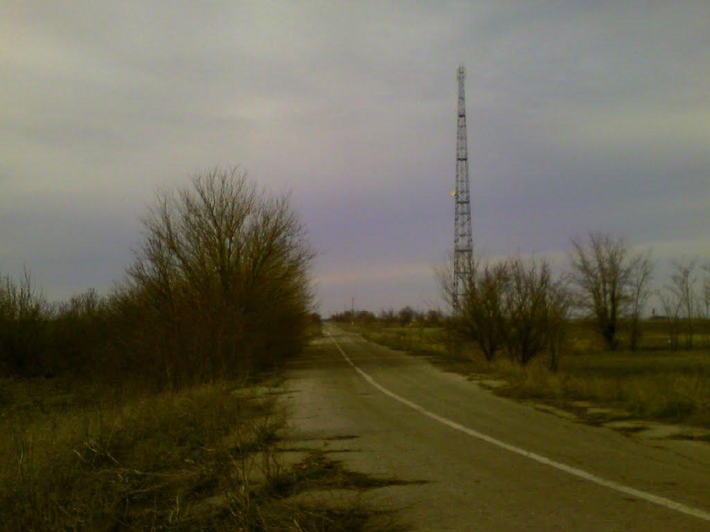 Рози Люксенбург з panoramio.com - Розы Люксембург