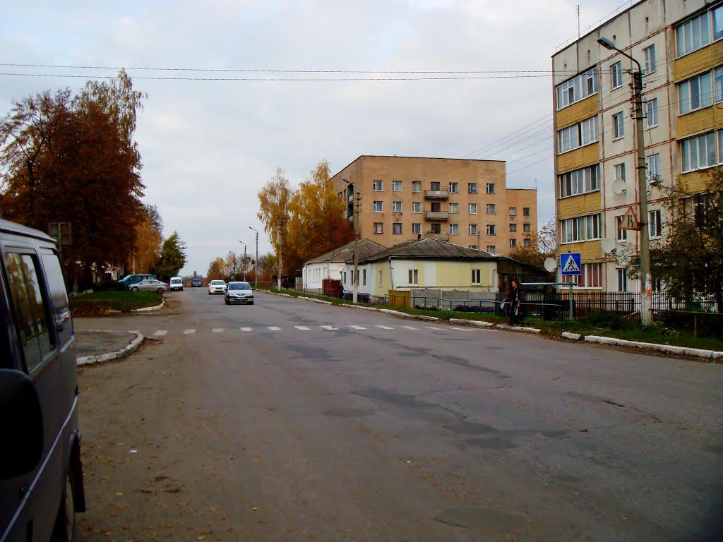 Тараща з panoramio.com - Тараща