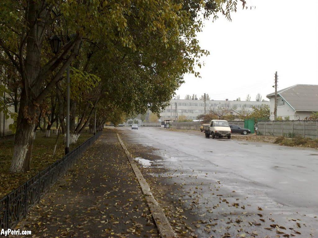 Мелітополь з panoramio.com (ч.2) - Мелитополь